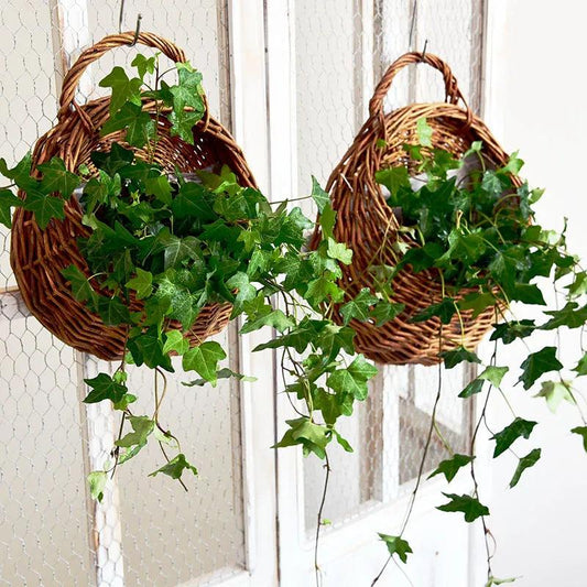 Hand Made Rattan Vase Eco-Friendly Wall Hanging Vase Container Storage Basket Wicker basket Nest Flower Pot  Home Decoration